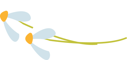 174835ml88fw6c6h8t39pw.png