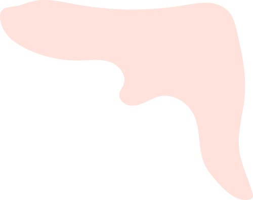 165101ifhh2eftt6ezctmz.png
