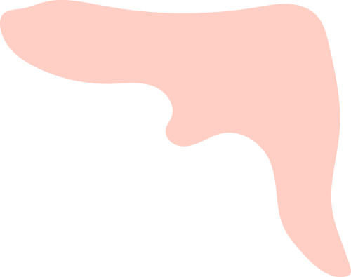 165101w5be0c8xxg99o6fe.png