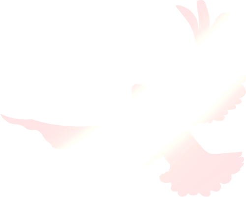 172738nwjyqqyjsjkjxsap.png