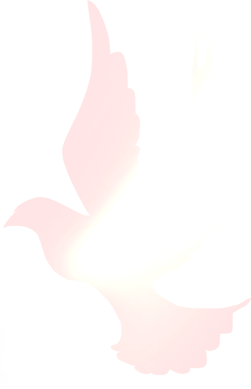 172740pujw3nyue693p2r4.png