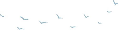 174526fm5vrrooovm03191.png