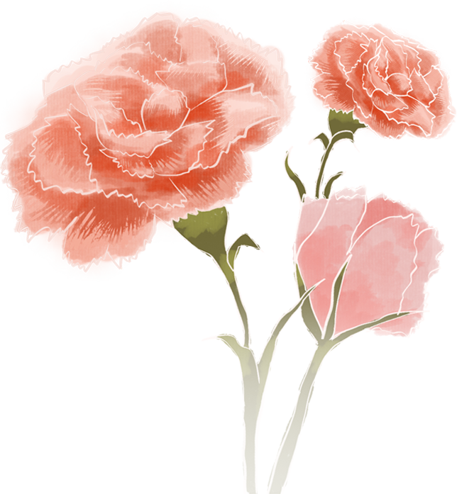 173725mjc05gl62k3pv37u.png