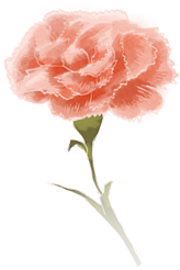 173728rcmpx2wp9aacmppk.png