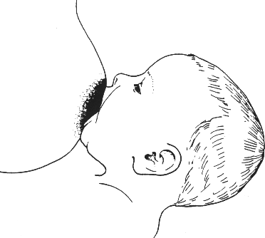 164919e88uuchcrrf80ttu.png