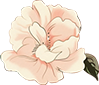 173626edo7dccwcdcgcfd0.png
