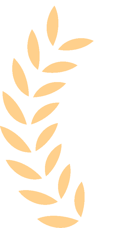 174244uib5xby5yr8oiyoa.gif