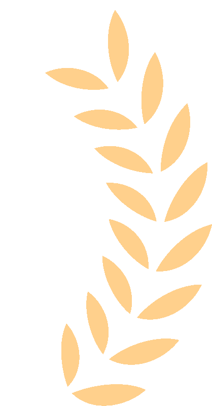 174248kdhx4154ux4md8gi.gif