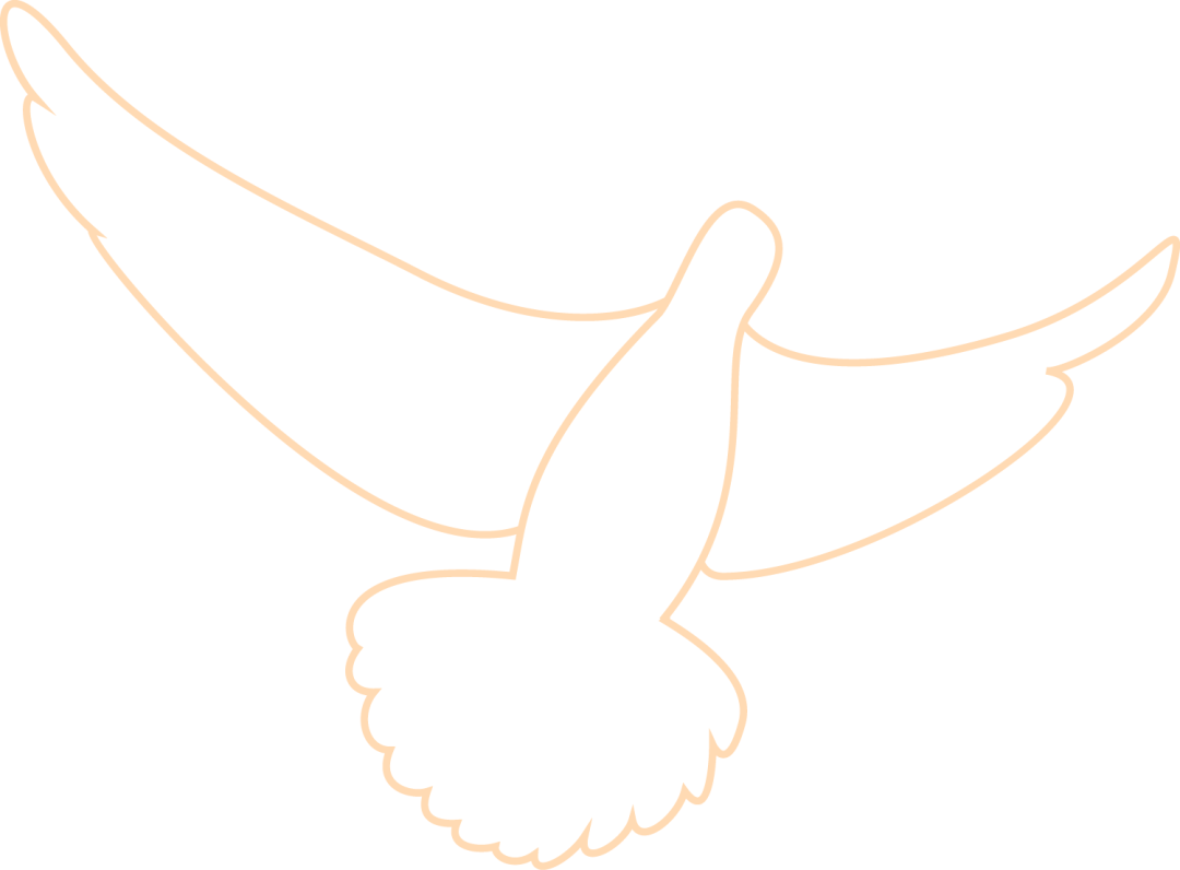 175844b222c3rswetmw32t.png