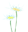 102313nfotpkhkvvy4khvf.png