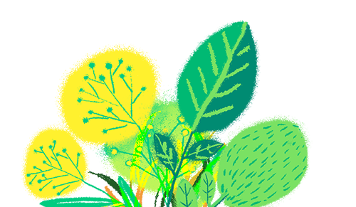 170940d0v1zjmmyvnlf18x.png