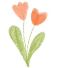 173129p6drpxx260o2uk68.png