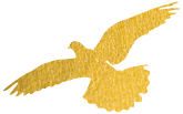 172845h2oylopyi4y64yo4.png