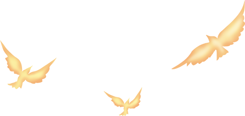 175214vu55f7upc2cx77pz.png