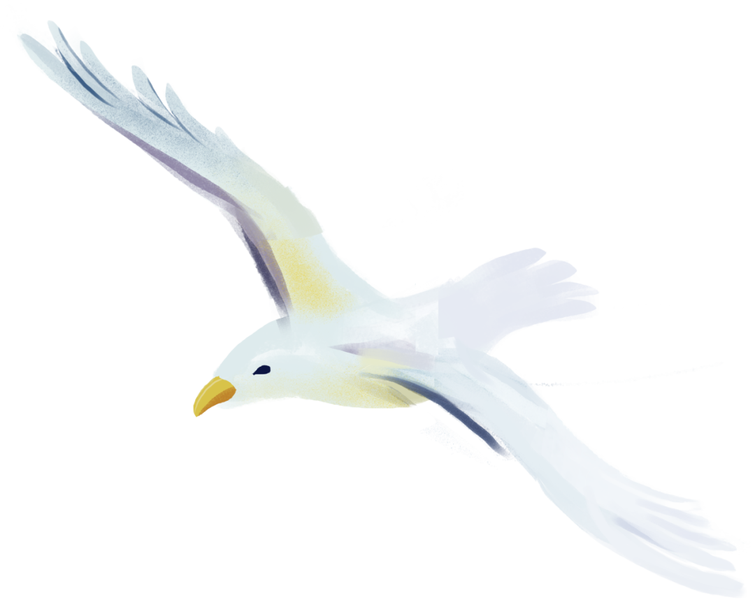 172307e1kak4a1z72225a9.png