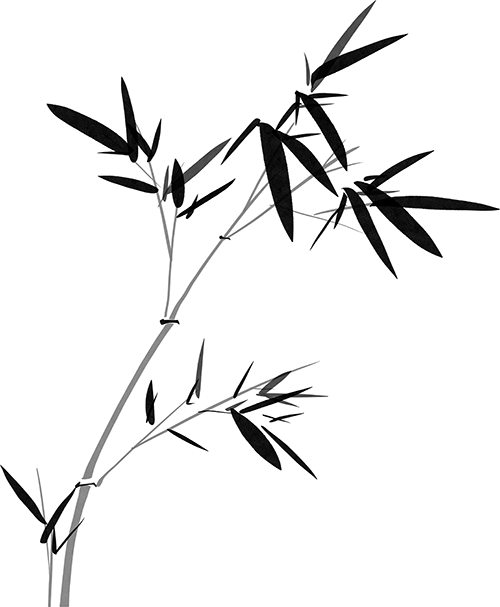 163720il03phxb0rjpbzco.png