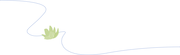 172856cwde77bo7m54bdi5.png