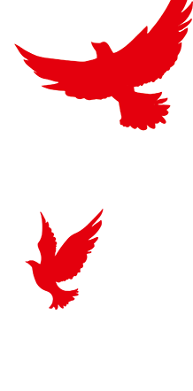 175345wbb0f11fuheajyya.png