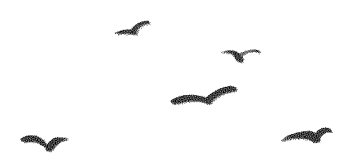 162256z05ceob3pgpo0x7j.gif