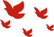 082811dt01050rsrrxrsl9.png