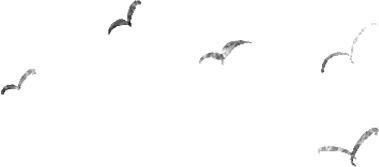 160305gjjejibpie8klj7u.png