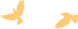 084058glet5h6gmh5m11we.png