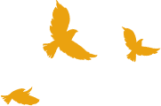 175704g0ltjekkxmomjbq1.png