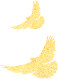 141739noulz0vv6v0do0j0.png