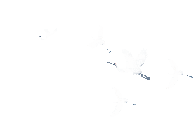 161800ehh696yyo8ah8rh9.gif