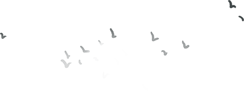 161807wo4kstjjkvpjw4mr.png