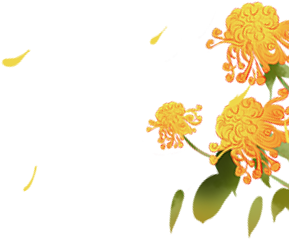 161810z1mb6hoxdbmsdhrb.png