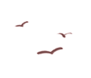 101543b945p2z96s675s5s.gif