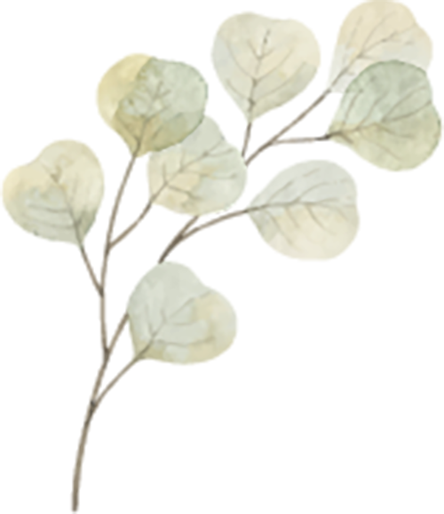 145644pl1zj5s2w5bswqj1.png