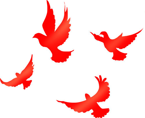 174422j1eegbrg65ohcrih.png
