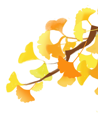 172842gkbkttb8tcr00k37.png