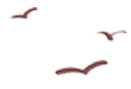 172850f2o7q5qz9f772cee.gif