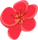 092951lc1m9ucv2khu2uju.png