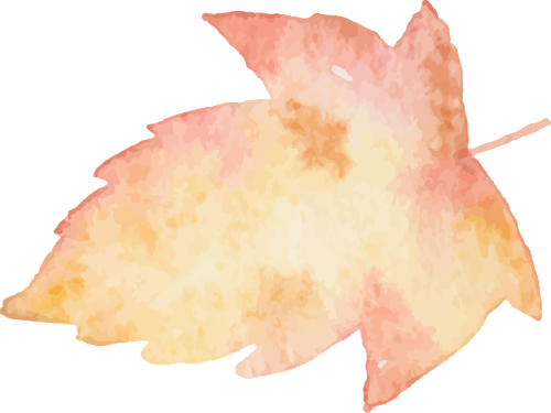 100058zqtlil7fz18wwhq1.png