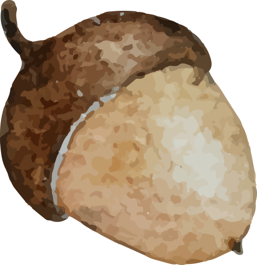 100058m8g07fptrktsfkrk.png