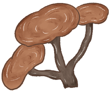 173307ynid3prp3a9n74q3.png
