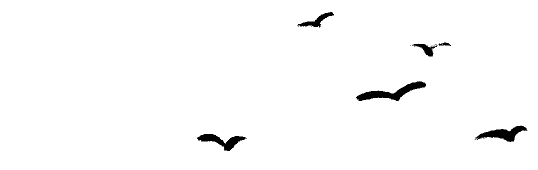 173312t4t5m11dp4ma9hl9.gif