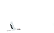 173312idbr94ynlahe3hhv.png