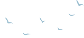 173314qr66cv5pcee5orgj.png