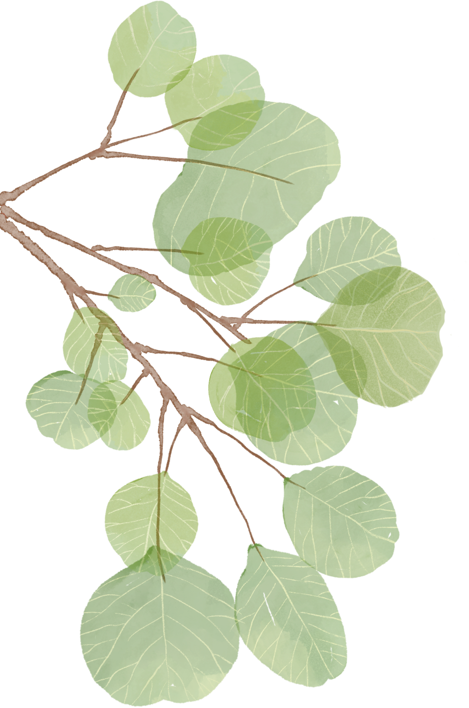 170949mvvai35avf4yav4p.png
