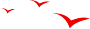 104302gk2nxxpjo6jqvu16.png