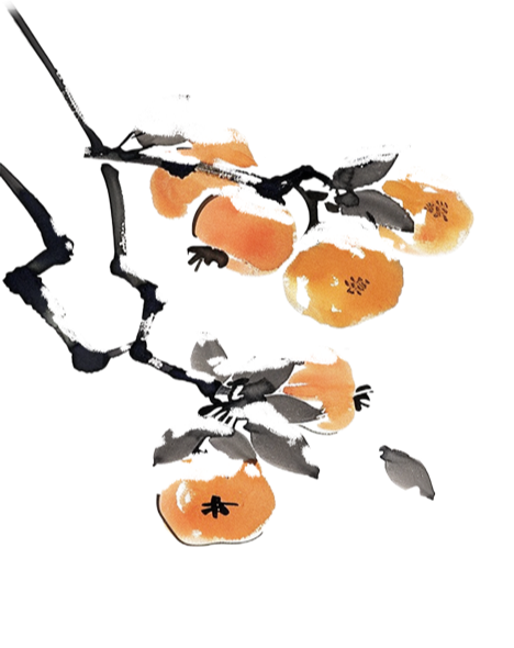 164941wakdp484h5tthmxt.png