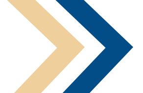 154212dt3c53insi3c9xkp.png
