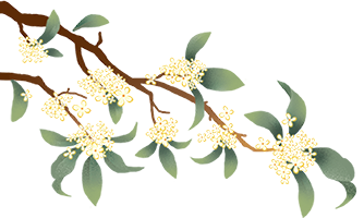 160531nly0bc2bplzblzxe.png