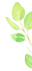 173309yz59x4ffry0pcj9p.gif