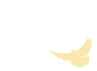 095931cfsz0u8uz4524xn6.gif